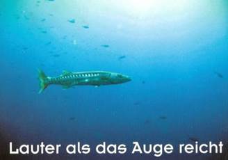 LauterBild.jpg